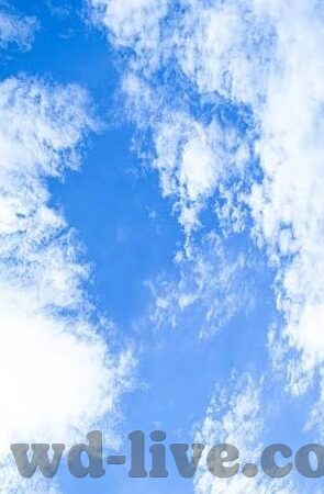 动画足球比分直播-动画足球比分直播，当科技为绿茵场插上想象的翅膀