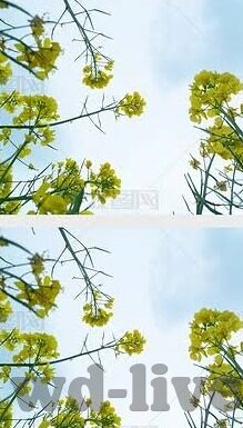 球探比分足球篮球-深度解析,球探比分——足球与篮球迷的必备数据宝库