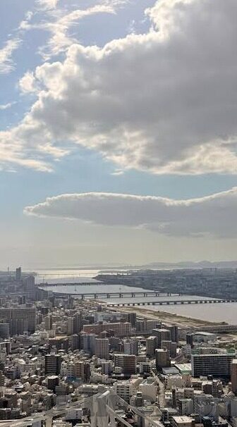 中国东亚足球比分-中国东亚足球赛场风云,比分背后的竞技与成长